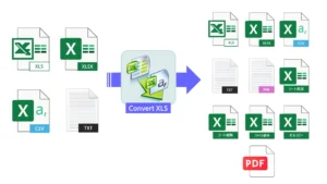 Convert XLS